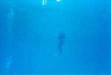A diver making the initial vertical descent