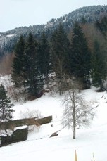 The mountain I was on