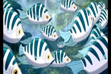 Zebra fish in Tarzan